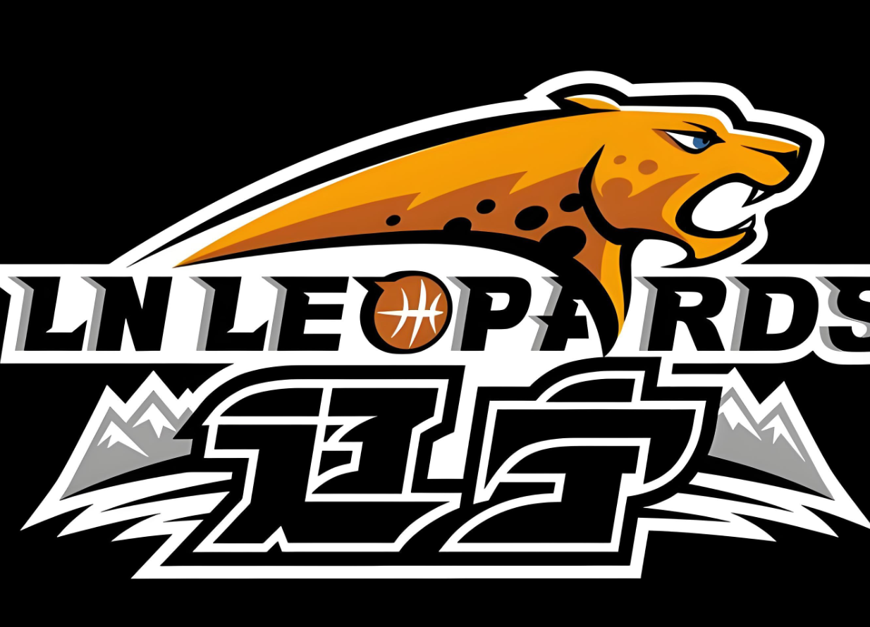 半岛体育下载-辽宁队好消息！接下来进入甜蜜期，有望收获4连胜